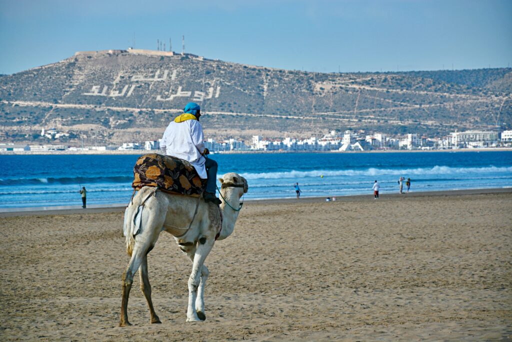 Guide touristique qui propose des balades à dos de chameau sur la plage d'Agadir