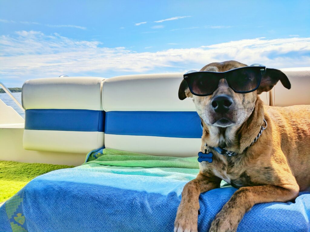 Touriste qui fait du bateau avec son chien à Agadir